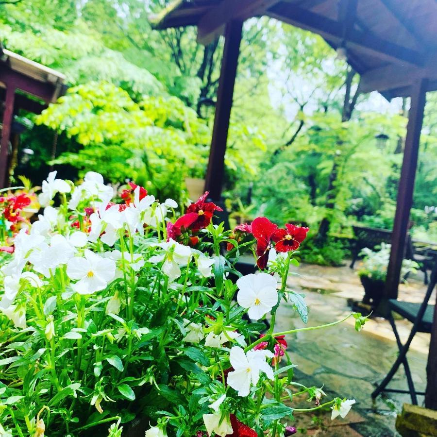 Sanrinsha Hotel Takamori Luaran gambar